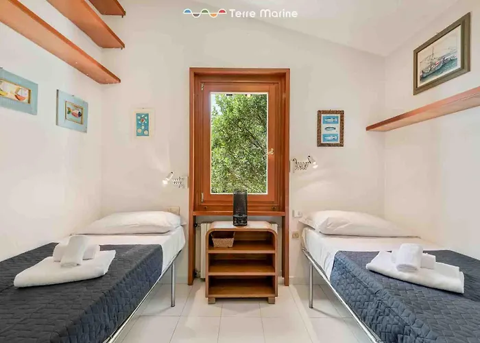 Il Tuffatore, Terre Marine Zanego