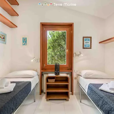 Il Tuffatore, Terre Marine Zanego