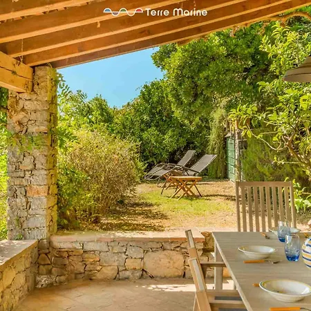 Il Tuffatore, Terre Marine *