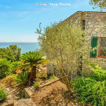 Il Tuffatore, Terre Marine * Zanego