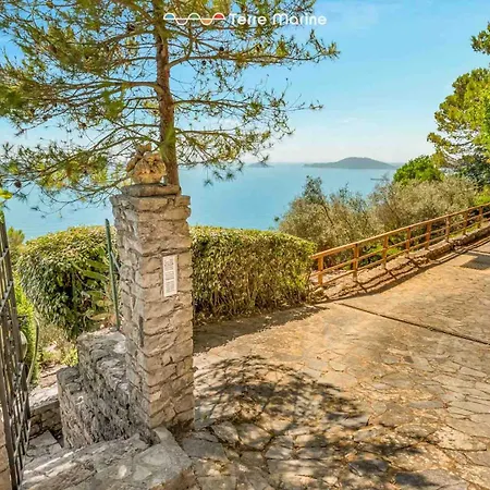 Il Tuffatore, Terre Marine *